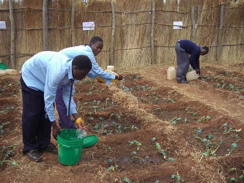 seeds for schools text pic 1
